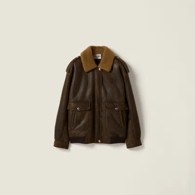 Miu Miu Shearling Blouson Jacket In Black