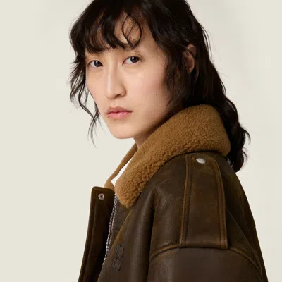 Miu Miu Shearling Blouson Jacket In Black