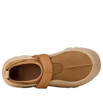 Ugg M Peakmod Lowcut Suede Ankle Boots In Brown