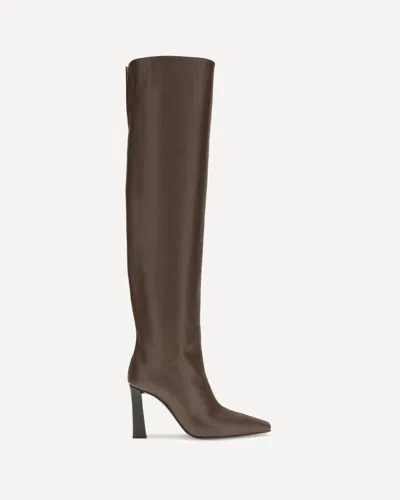 Giuseppe Zanotti Over-the-knee Leather Pointed Toe Boots In Brown