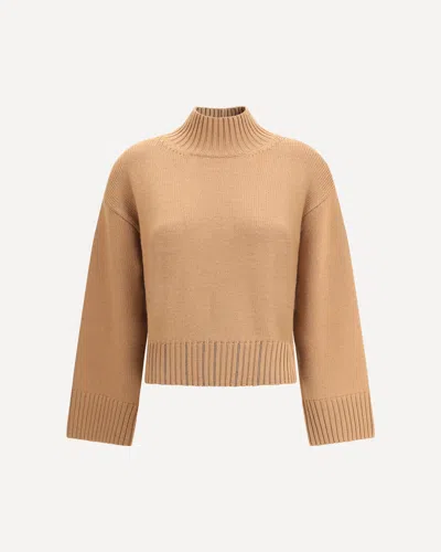 Fabiana Filippi Wool Turtleneck Sweater In Brown