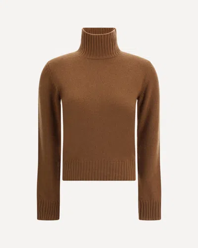 Ami Alexandre Mattiussi Ami Paris Women Ami De Coeur Turtleneck Sweater In Brown