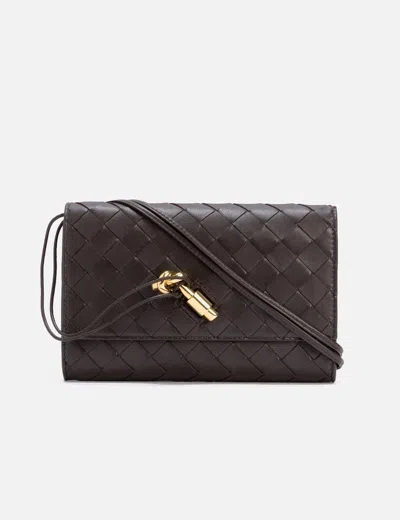 Bottega Veneta Andiamo Pouch