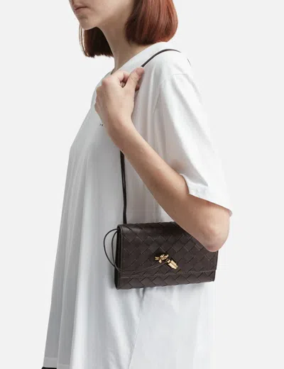 Bottega Veneta Andiamo Pouch