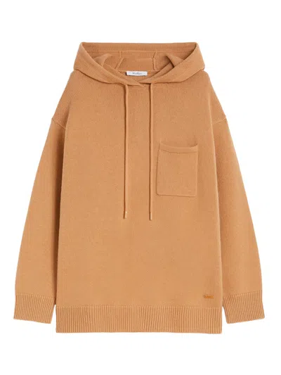 Max Mara Wool And Cashmere Hoodie In Brown