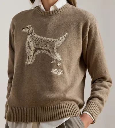 Ralph Lauren Knit Pullover Sweater In Neutral
