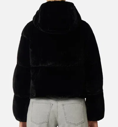 Elisabetta Franchi Velvet Down Jacket In Black