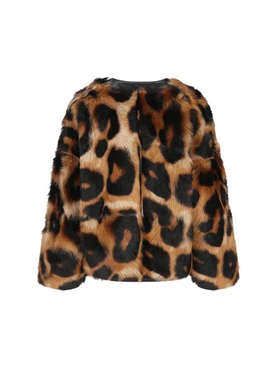 Loewe Leopard-print Shearling Jacket In Brown