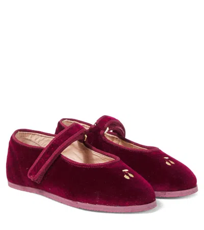 Bonpoint Ellaro Embroidered Velvet Slippers In Burgundy