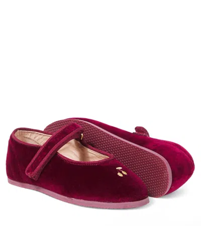 Bonpoint Ellaro Embroidered Velvet Slippers In Burgundy