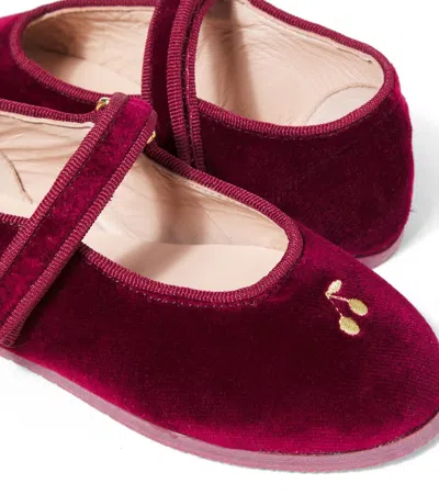 Bonpoint Ellaro Embroidered Velvet Slippers In Burgundy