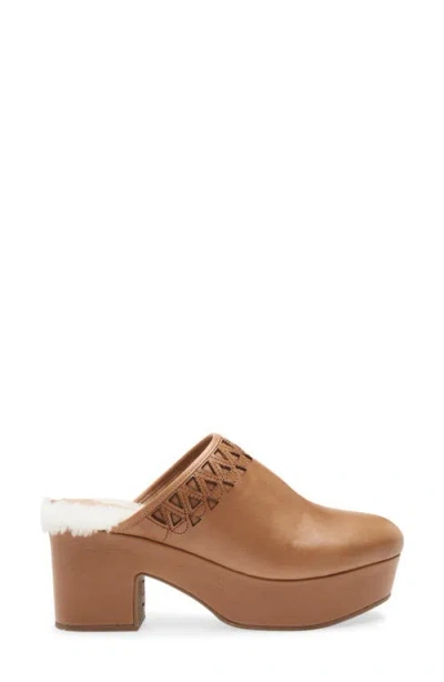 Chocolat Blu Gannet Platform Clog In Brown