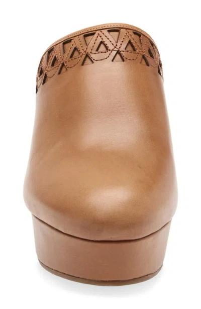 Chocolat Blu Gannet Platform Clog In Brown