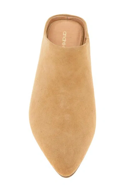 Andre Assous André Assous Willow Mule In Brown