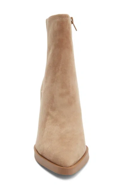 Steve Madden Harden Pointed Toe Bootie In Brown