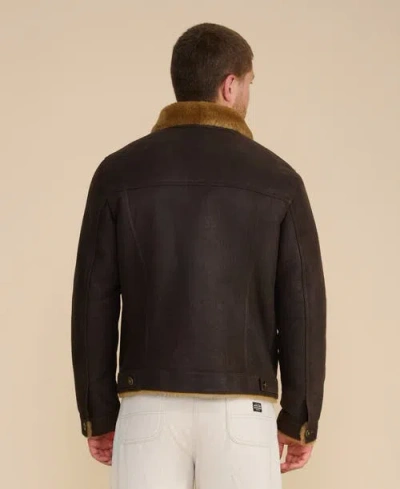 Furniq Uk Alfie Shearling Jacket In Brown