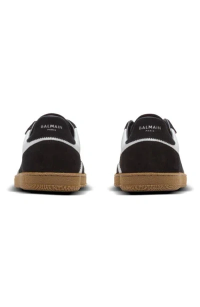 Balmain Swan Sneakers In Calfskin And Suede In Black