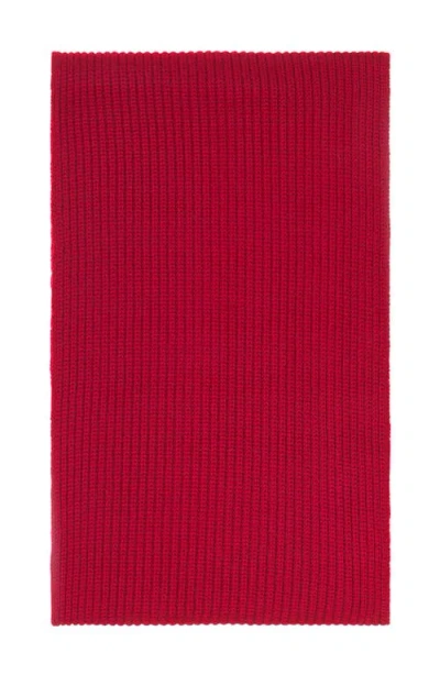 Lanvin Wool Scarf In Brown