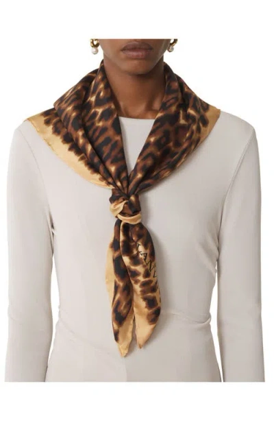 Lanvin Lightweight Rectangular Leopard Print Scarf In Burgundy