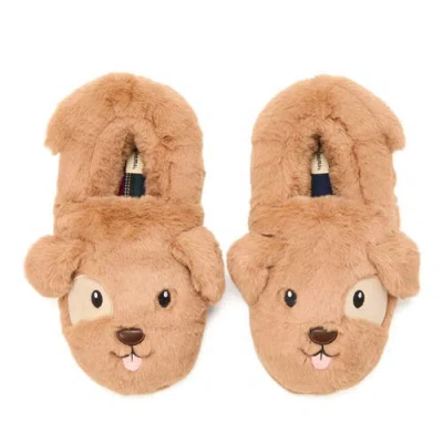 Dearfoams Adult Closed Back Unisex Adult Memory Foam Slip-on Slippers In Brown