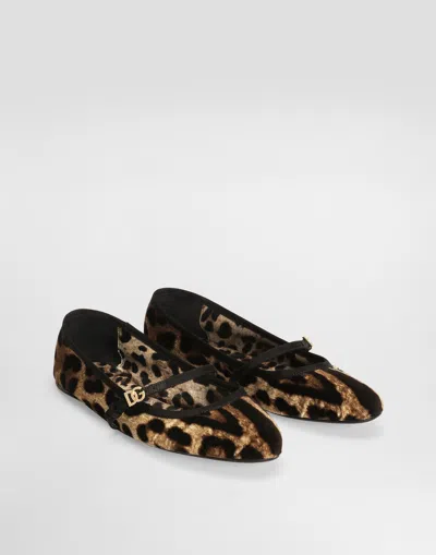 Dolce & Gabbana Printed Velvet Ballet Flats In Print