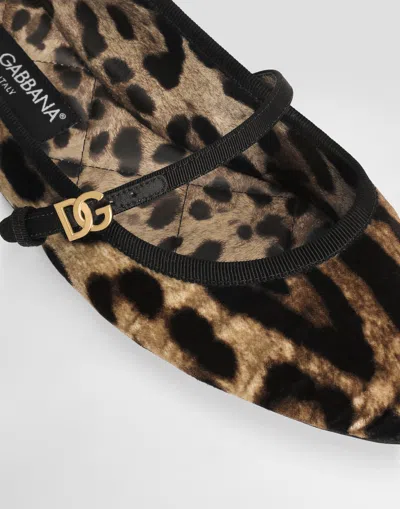 Dolce & Gabbana Printed Velvet Ballet Flats In Print