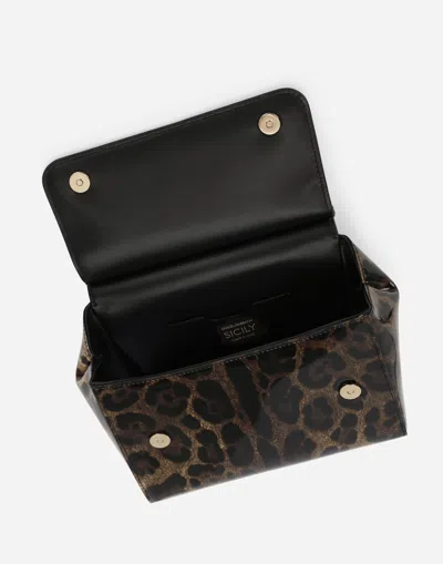 Dolce & Gabbana Borsa A Mano In Animal Print