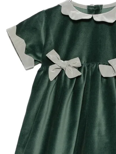 Mariella Ferrari Bow-collared Shorties In Green