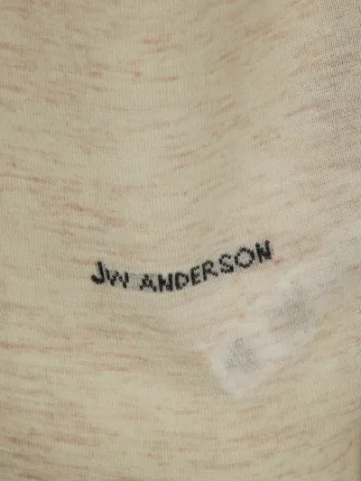 Jw Anderson J. W. Anderson Fitted Neutrals Turtleneck Jumper In Animal Print