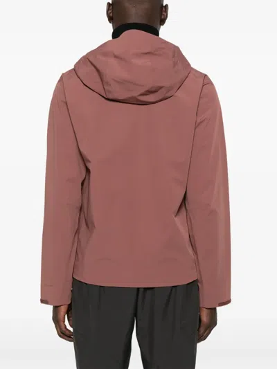 Hiking Patrol Arc 3l Zip-up Hooded Jacket In Brown