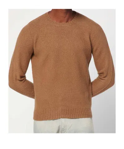 Drumohr Man Sweater Camel Size 48 Lambswool In Brown