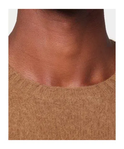 Drumohr Man Sweater Camel Size 48 Lambswool In Brown