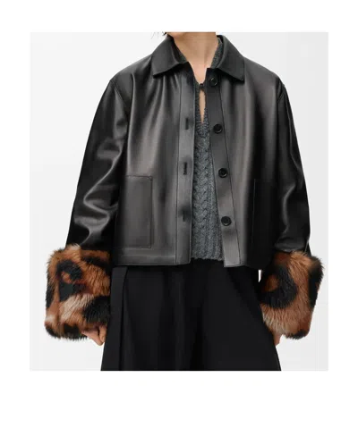 Loewe Leopard-print Shearling-trimmed Glossed-leather Jacket In Black