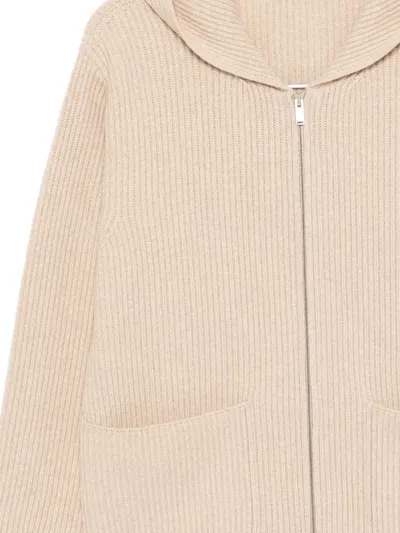 Lardini Hooded Cardigan In Pink