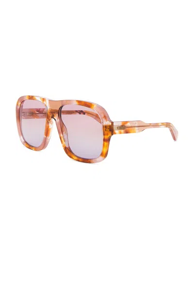 Chloé Gayia Aviator-style Tortoiseshell Acetate Sunglasses In Multi