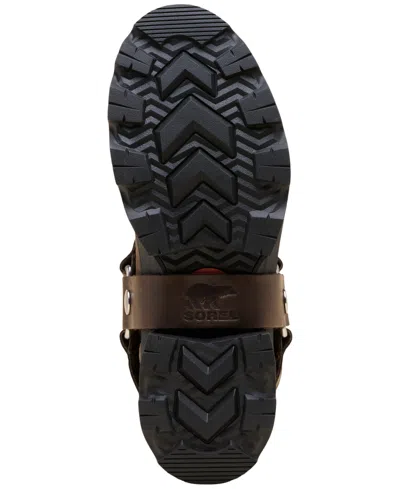 Sorel Women's Joan Frwd Leather Tall Boots In Brown