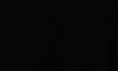 Sofia Cashmere Embellished Collar Polo In Black