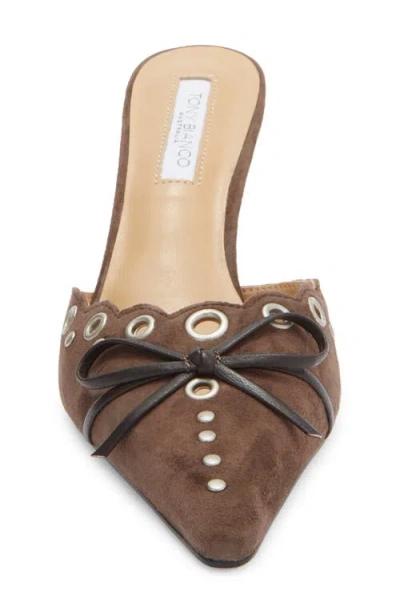 Tony Bianco Shae Pointed Toe Mule In Brown