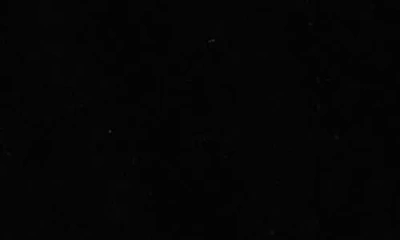 Alex Evenings Petites Womens Velvet Long Sleeve Wrap Top In Black