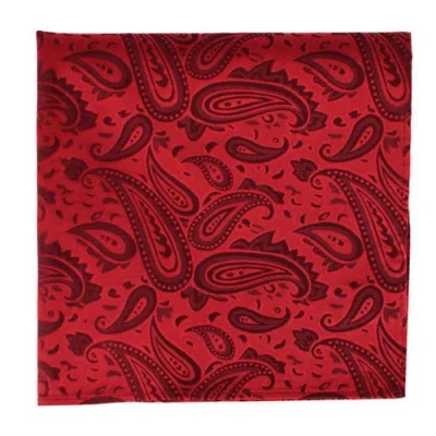 Trafalgar Banbury Tone On Tone Paisley 12 Inch Silk Pocket Square In Red