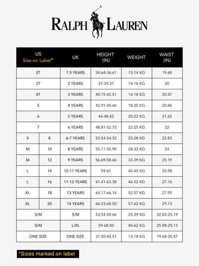 Ralph Lauren Boys Striped Logo Shirt In Multi