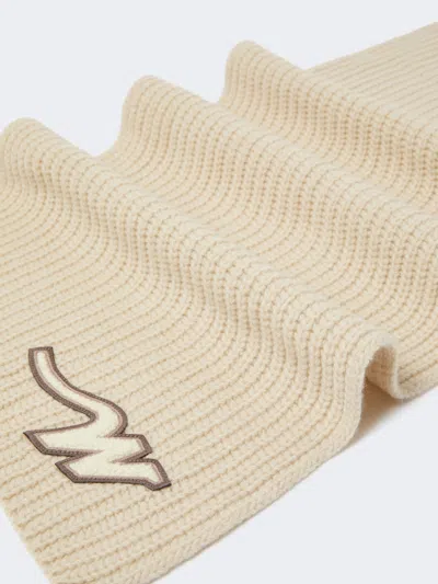 Weekend Max Mara Ribbed Scarf In Brown