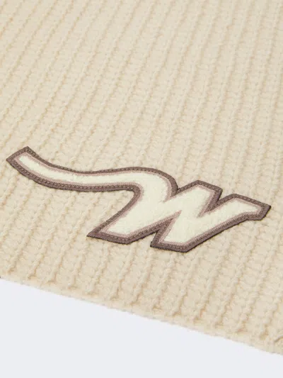 Weekend Max Mara Ribbed Scarf In Brown