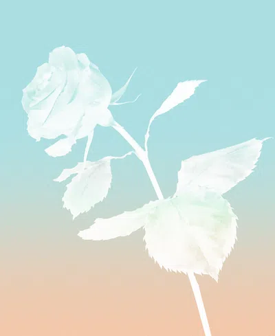 Tiffany & Co Rose Gold Eau De Parfum 3-piece Gift Set In Transparent