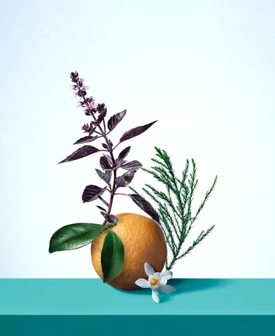 Tiffany & Co Tiffany & Love Eau De Parfum 3-piece Gift Set In Transparent