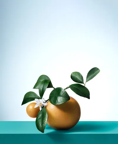 Tiffany & Co Tiffany & Love Eau De Parfum 3-piece Gift Set In Transparent