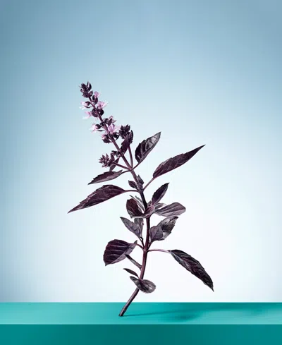 Tiffany & Co Tiffany & Love Eau De Parfum 3-piece Gift Set In Transparent