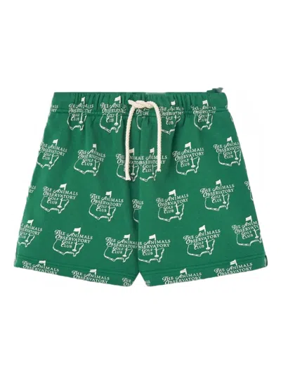 The Animals Observatory Hedgehog Print Shorts In Green