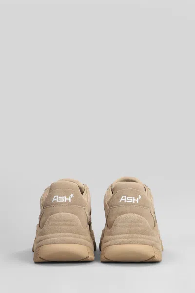 Ash Addict Sneakers In Beige Suede In Neutral