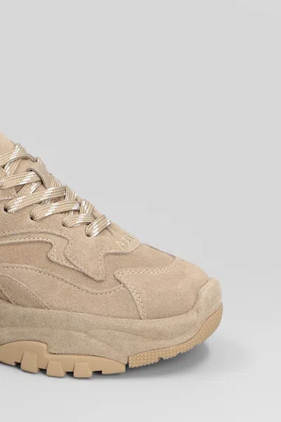Ash Addict Sneakers In Beige Suede In Neutral